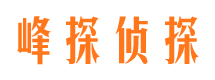 井研婚外情调查取证